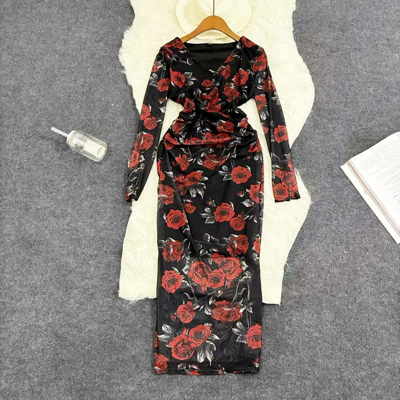 Mesh Print Maxi Dress With V Neck Full Sleeve Bodycon