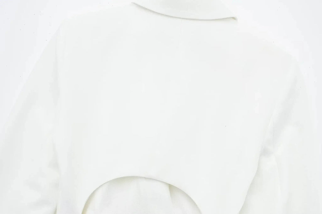 Hollow Out Mini Dress With Lapel Hidden Zipper High Waist