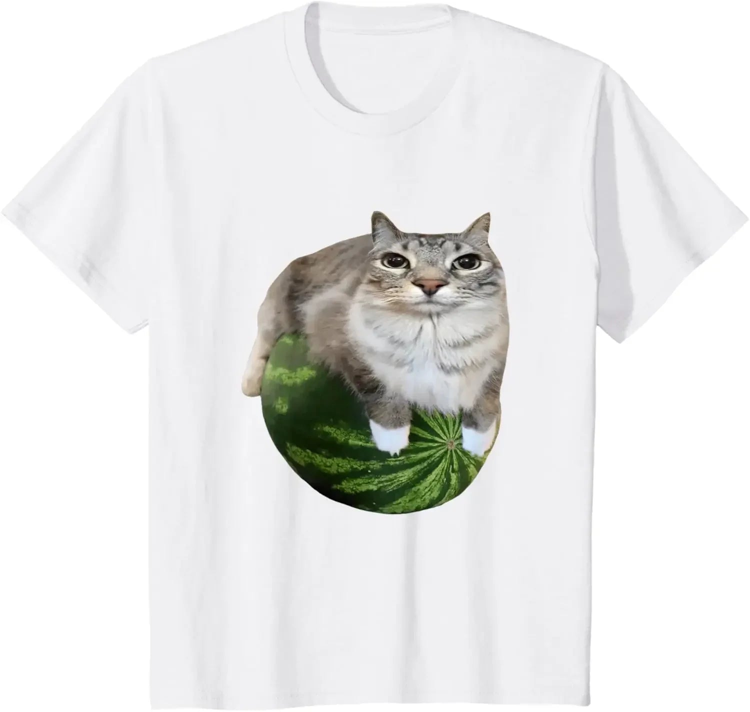 Watermelon Cat Meme T-Shirt Funny Unisex Summer Top with Stylish Watermelon Print