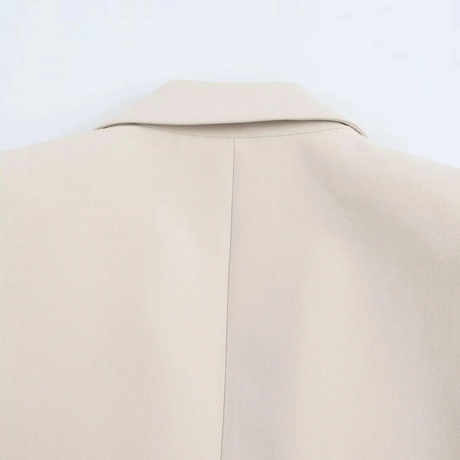 Elegant Women Blazer And Pants Suit For Office Wear