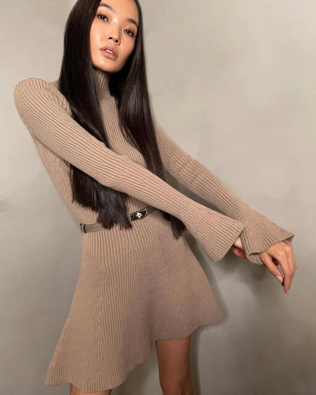 Elegant Women High Neck Knit Dress With Long Sleeve