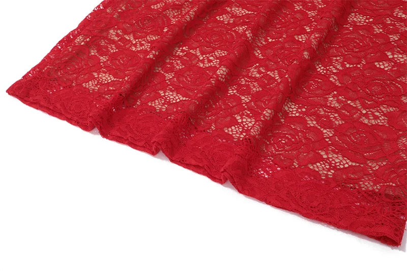 Sexy Lace Backless Halter Dress For Evening Party Wear