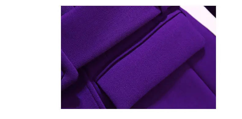 Elegant Two Piece Women's Suit for Professional Work Attire Stylish and Modern Formal Outfit Perfect for Autumn and Winter Seasons