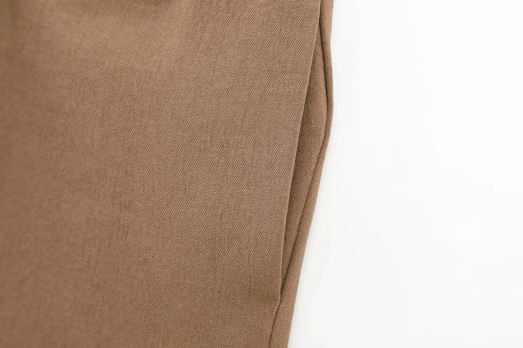 Women Casual Brown Lace-Up Waist Shirt and High Waist Wide Leg Pants Set for Spring Fashion