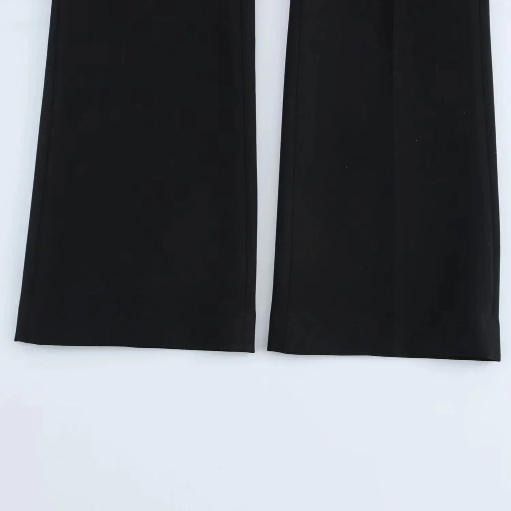 Elegant Women Blazer And Pants Suit For Office Wear