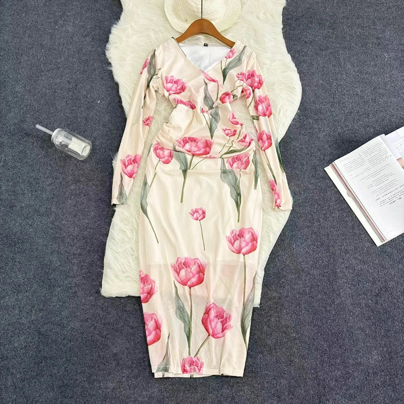 Mesh Print Maxi Dress With V Neck Full Sleeve Bodycon