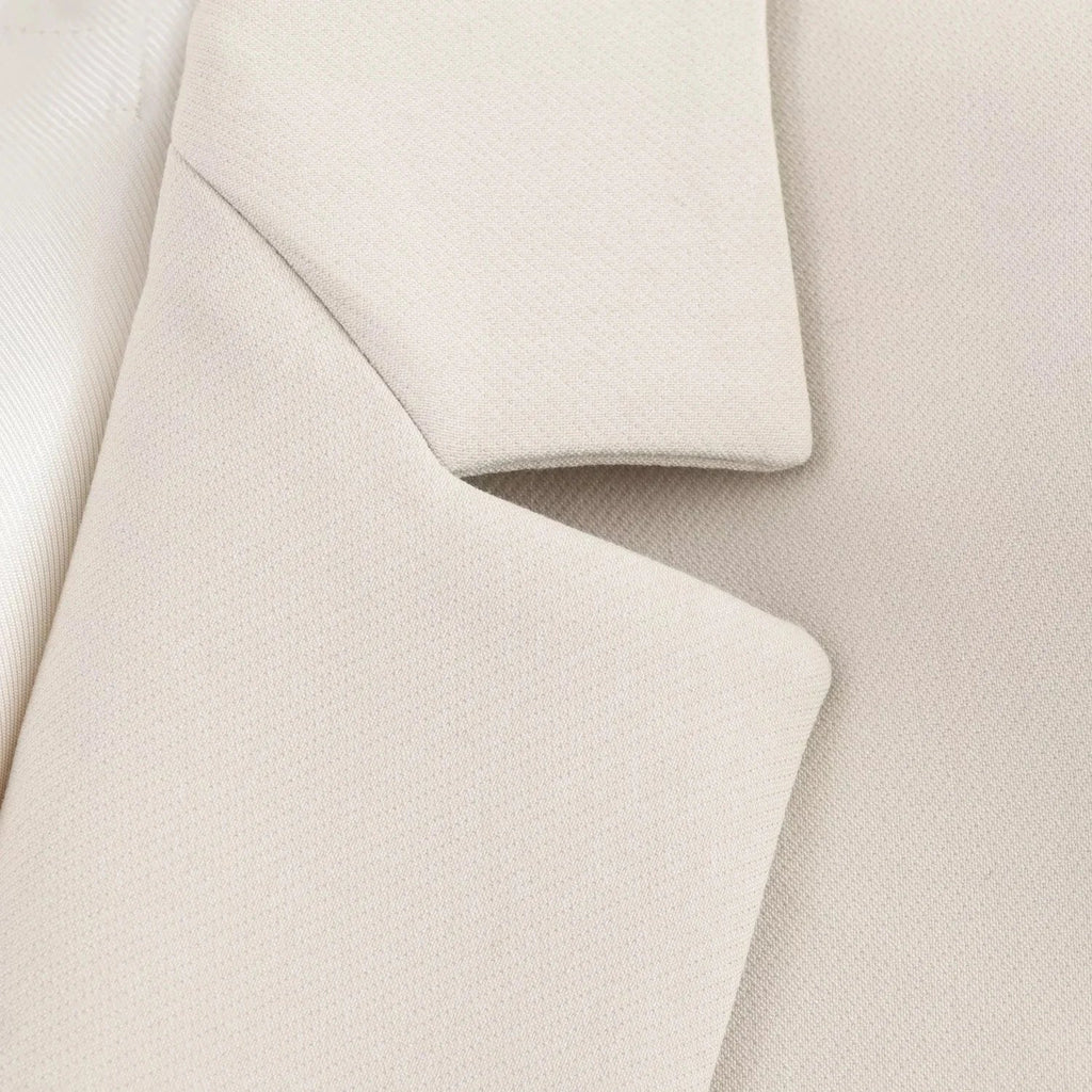 Elegant Women Blazer And Pants Suit For Office Wear