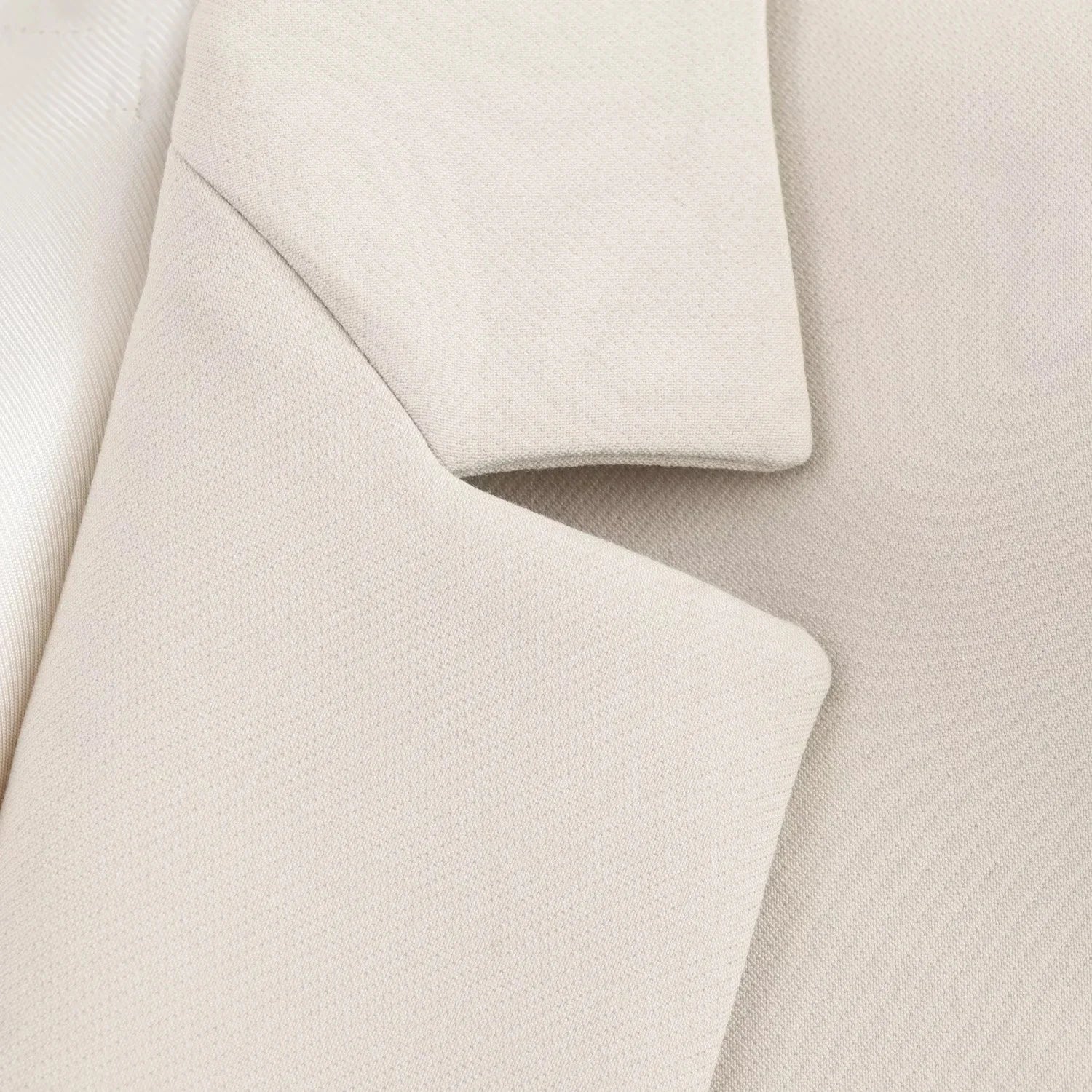 Elegant Women Blazer And Pants Suit For Office Wear