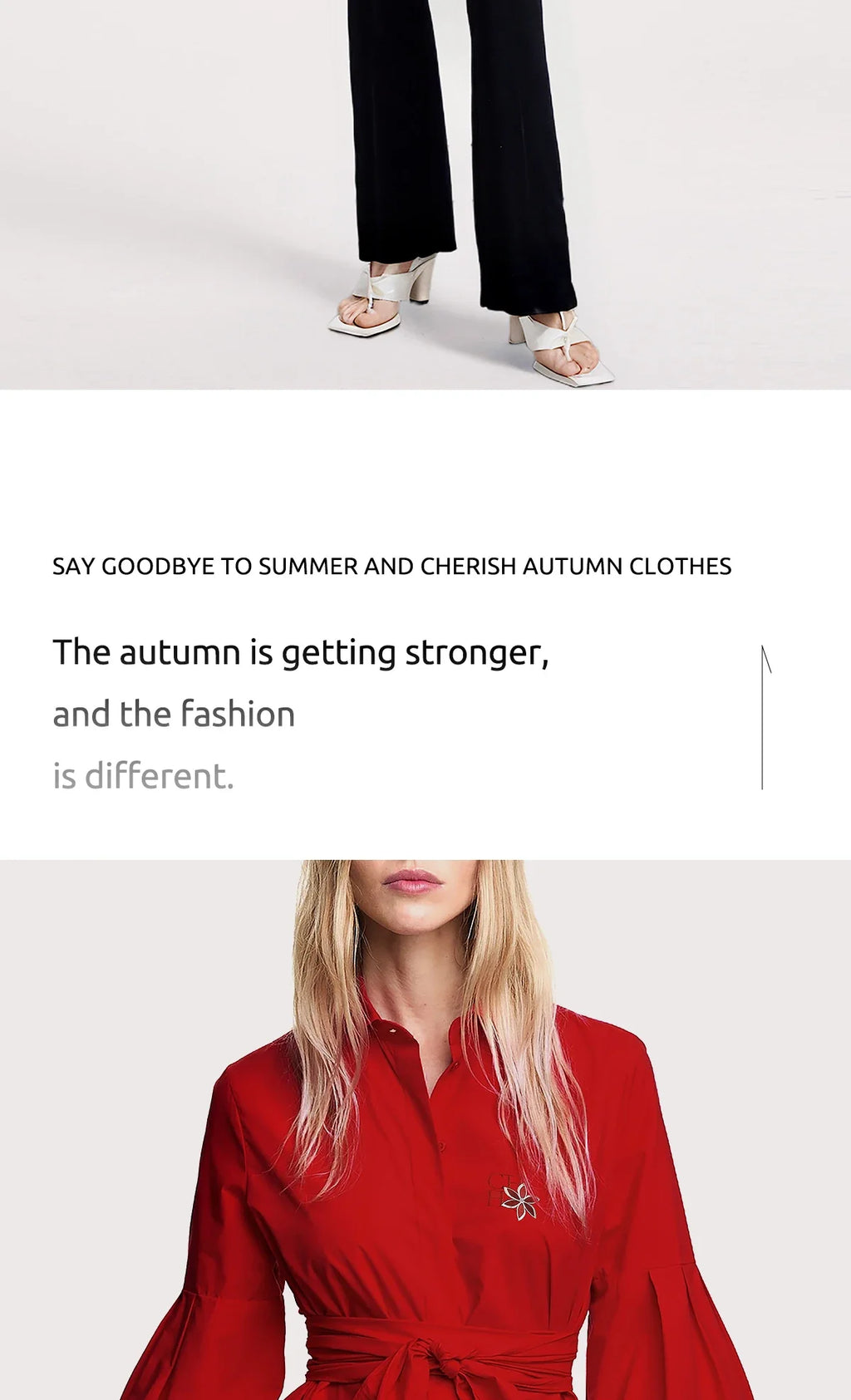 Women Embroidered Elegant Lantern Sleeve Blouse Casual Long Sleeve Office Shirt Fashionable Commuting Top