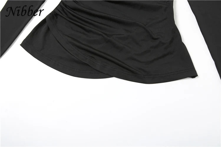 Elegant Two Piece Set for Women with Hooded Low Neck Long Sleeve Top and Solid Flared Pants Casual Trendy Outfit