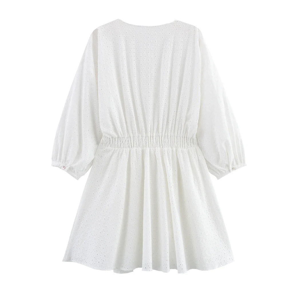 Womens Hollow Embroidery V Neck Lantern Sleeve Mini Dress