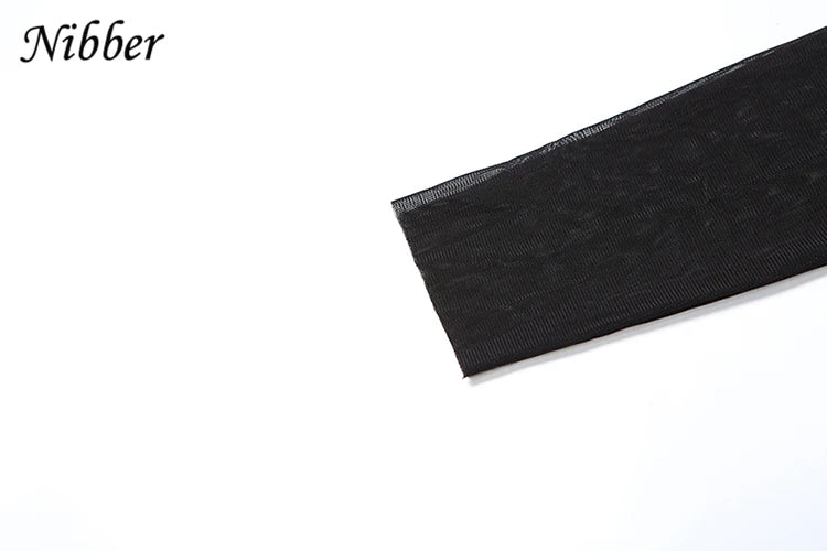 Mesh Patchwork Velvet Sheer Dress Long Sleeve Bodycon