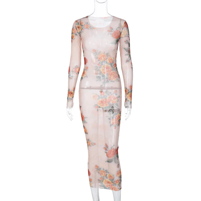 Sheer Mesh Floral Maxi Dress Long Sleeve Beachwear