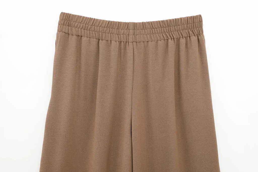 Women Casual Brown Lace-Up Waist Shirt and High Waist Wide Leg Pants Set for Spring Fashion