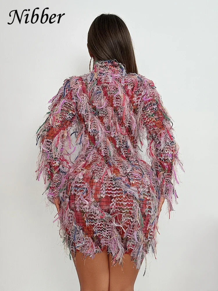 Crochet See Through Bodycon Dress With Colorful Tassels