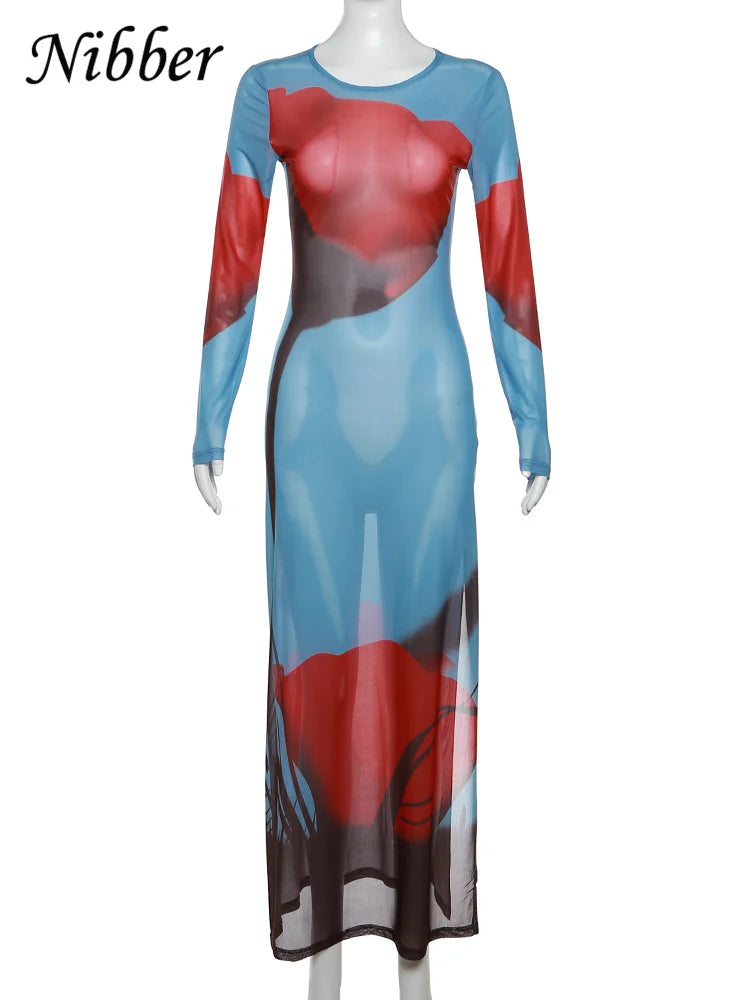 See Through Mesh Maxi Dress Women Long Sleeve Bodycon