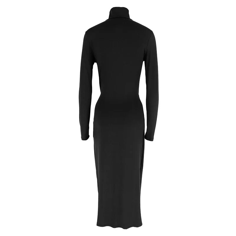 Autumn Long Sleeve Turtleneck Maxi Dress For Women Chic