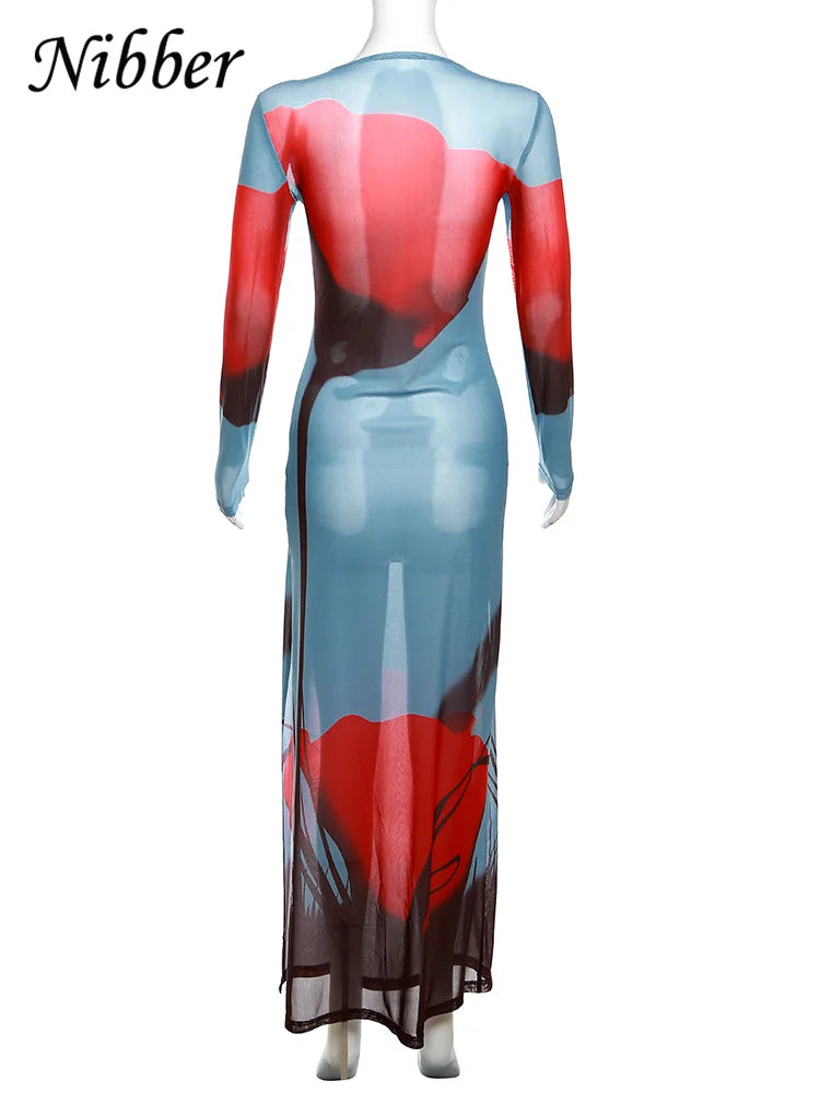 See Through Mesh Maxi Dress Women Long Sleeve Bodycon