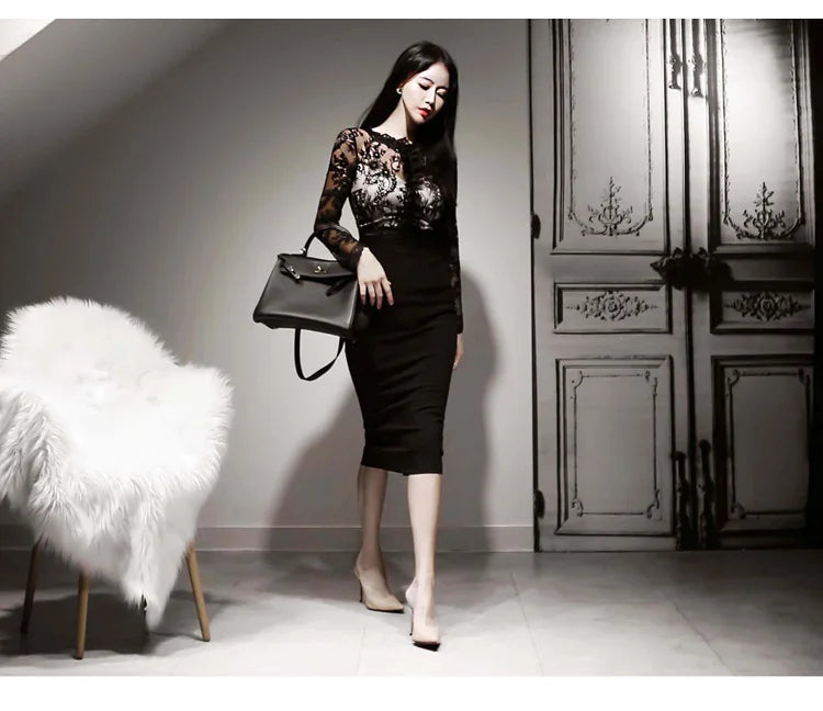 Korean Lace Bodycon Dress Women Office Sheath Pencil