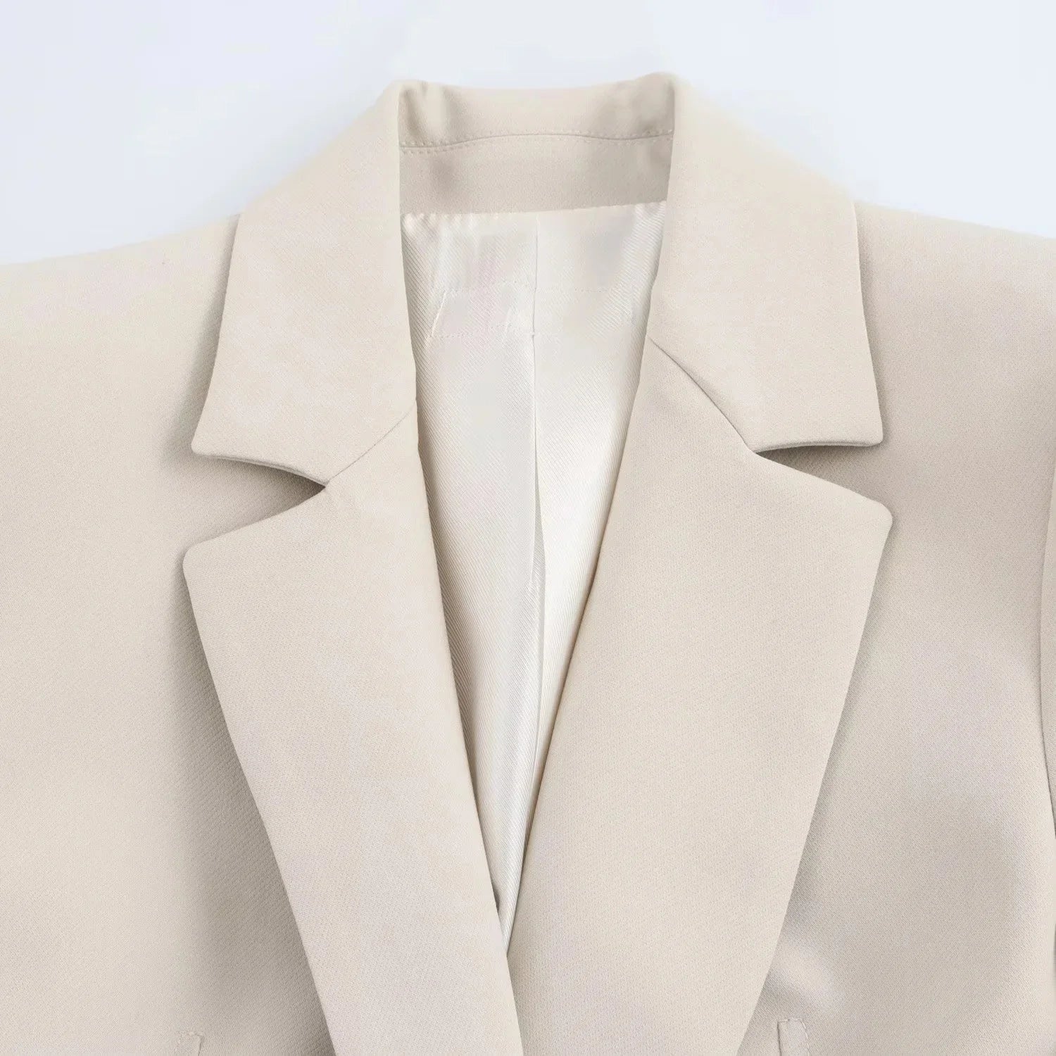 Elegant Women Blazer And Pants Suit For Office Wear