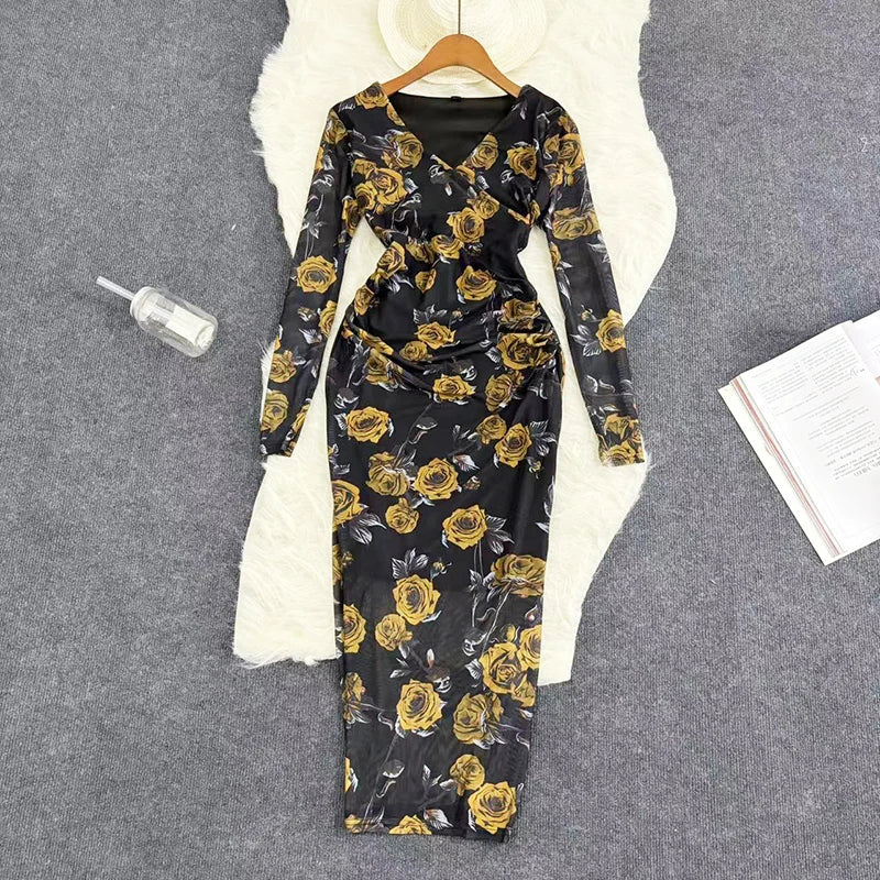 Mesh Print Maxi Dress With V Neck Full Sleeve Bodycon