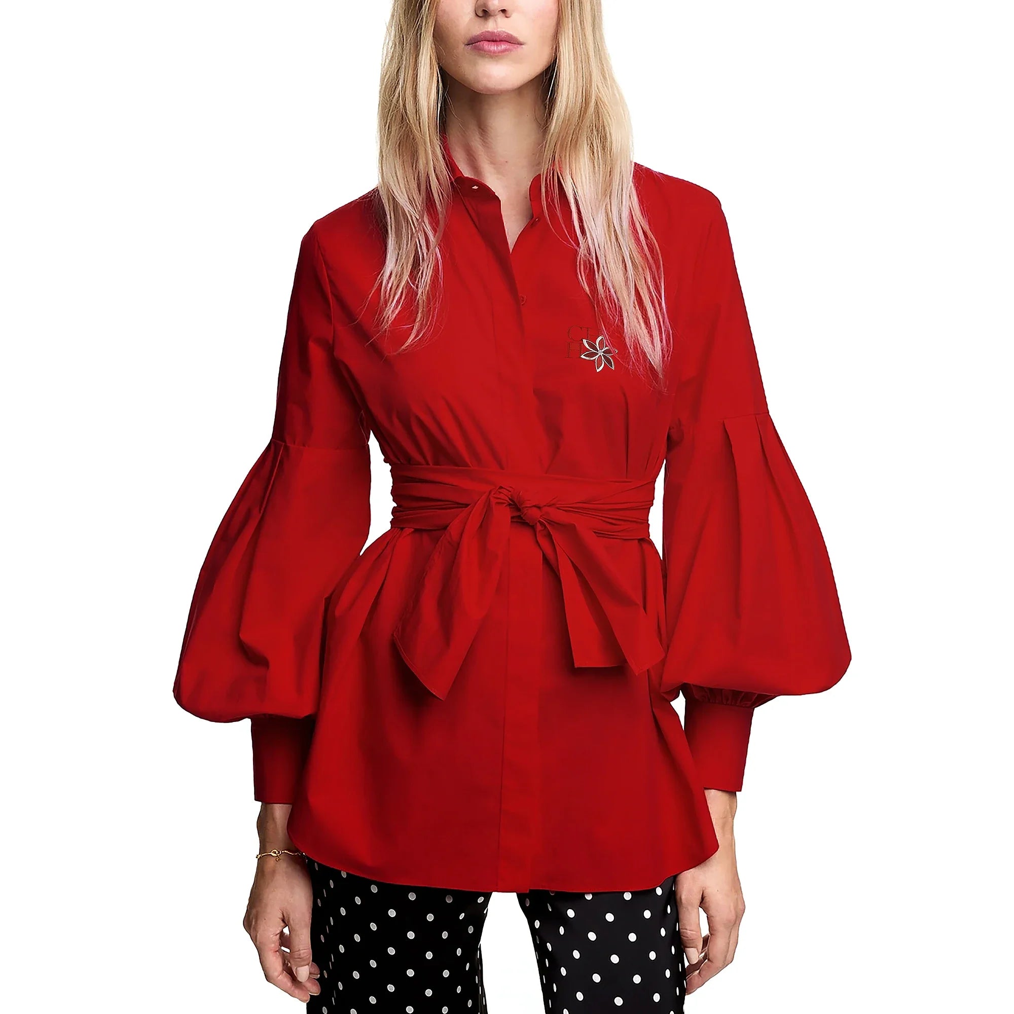 Women Embroidered Elegant Lantern Sleeve Blouse Casual Long Sleeve Office Shirt Fashionable Commuting Top