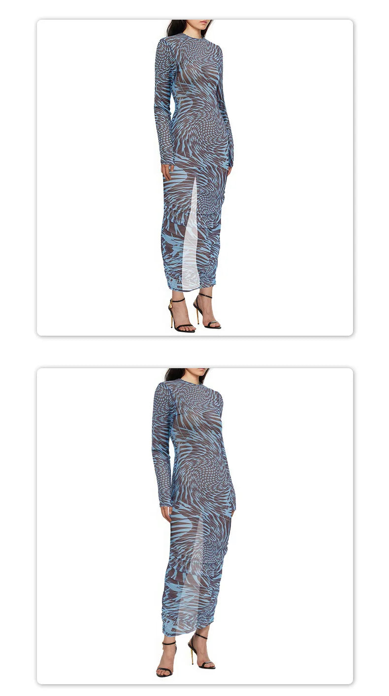 Mesh Print See Through Long Sleeve Bodycon Dress For Women