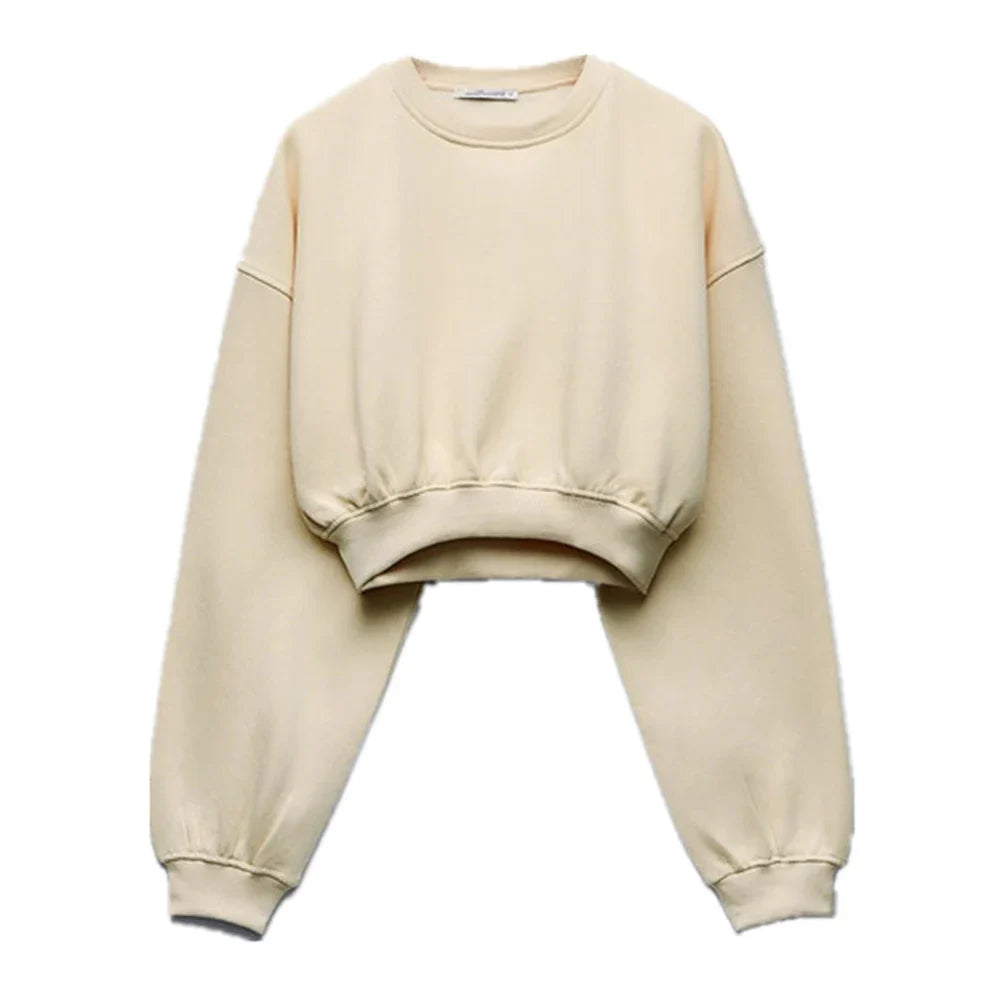 Women's Casual Sweater Pants Suit for Fall and Winter Elegant Sportswear Set