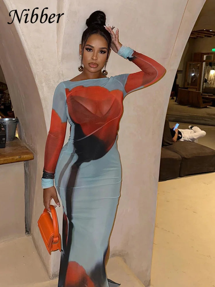 See Through Mesh Maxi Dress Women Long Sleeve Bodycon