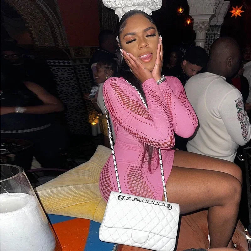 Sexy Hollow Out Mesh Long Sleeve Bodycon Mini Dress
