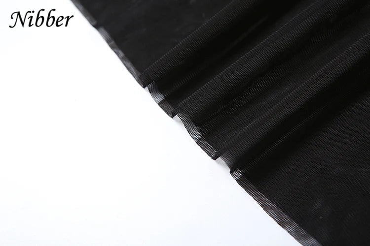 Mesh Patchwork Velvet Sheer Dress Long Sleeve Bodycon