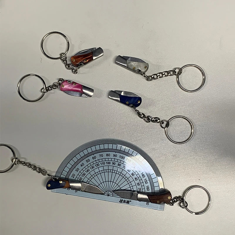 Portable Folding Pocket Knife with Keychain and Stainless Steel Blade for Camping and Outdoor Survival Gifts