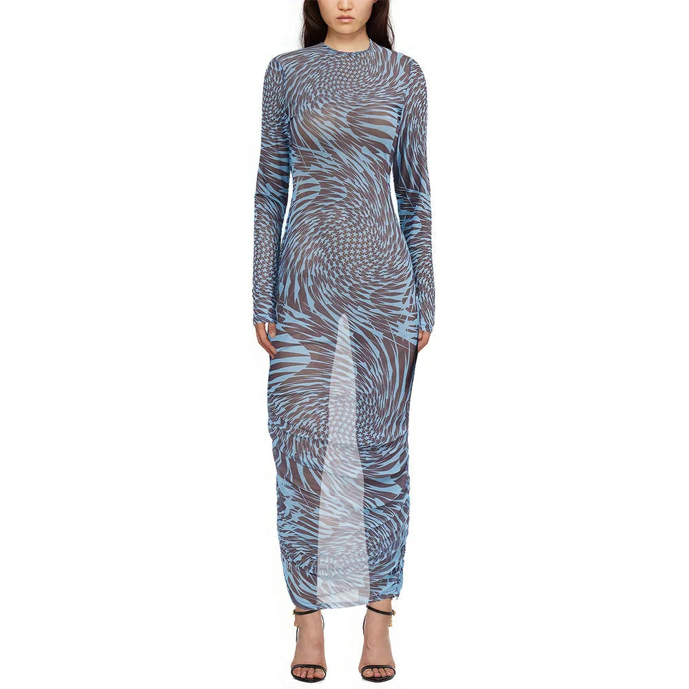 Mesh Print See Through Long Sleeve Bodycon Dress For Women