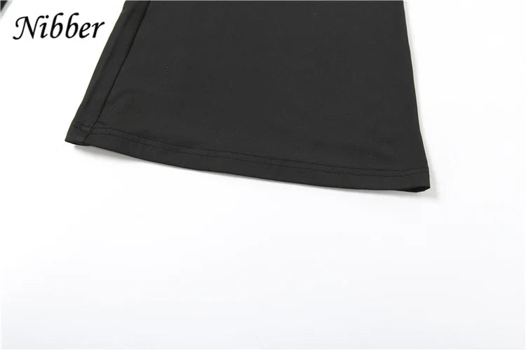 Elegant Nibber Pleats Two Piece Set for Women Hooded Low Neck Long Sleeve Top with Solid Flared Pants Casual Matching Trendy Outfit