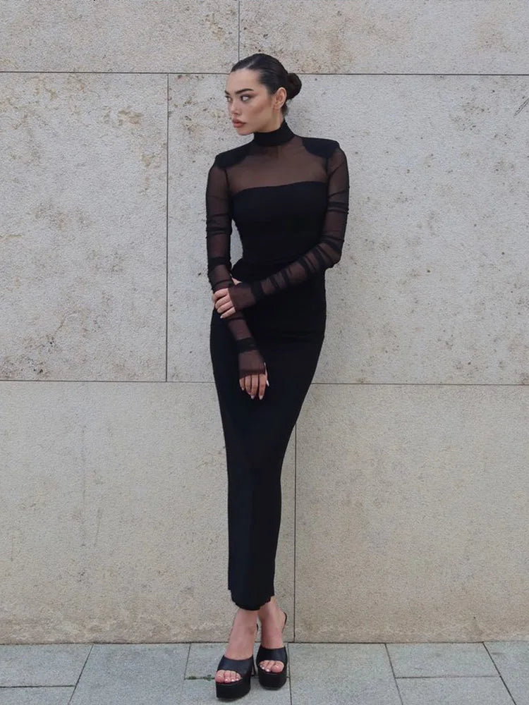 Mesh Patchwork See Through Dress For Women Turtle Neck