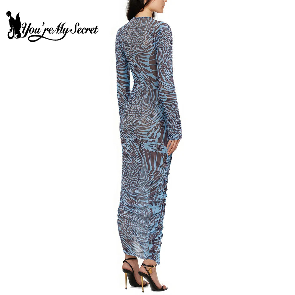 Mesh Print See Through Long Sleeve Bodycon Dress For Women