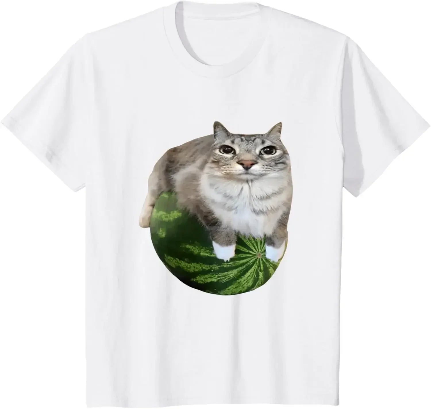 Watermelon Cat Meme T-Shirt Funny Unisex Summer Top with Stylish Watermelon Print