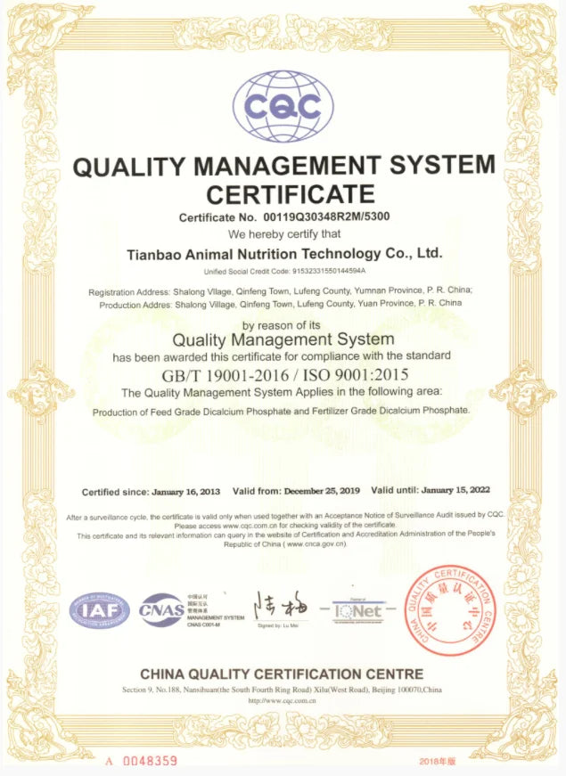 Boho Beaded Necklaces for Women Colorful Summer Bohemian Choker Beach Jewelry