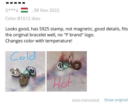 925 Sterling Silver Turtle Charm Pendant for 3mm Bracelets Ideal Gift for Women DIY Jewelry Collection