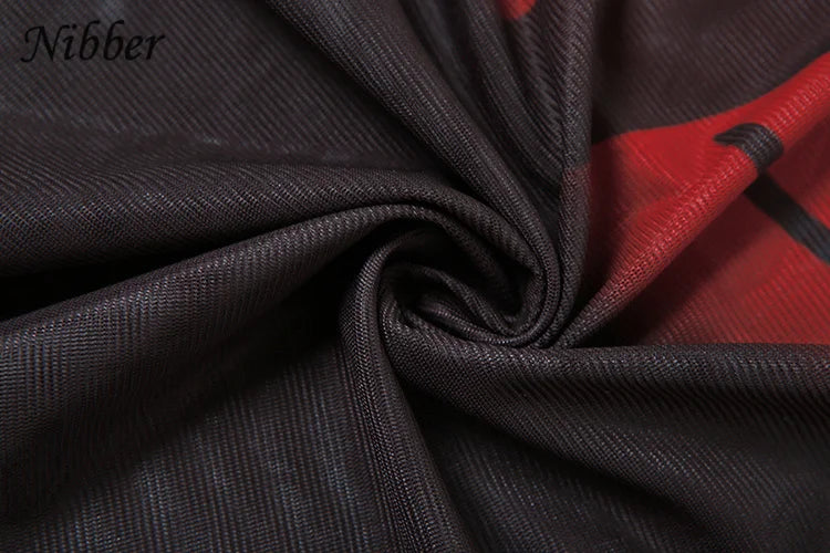 See Through Mesh Maxi Dress Women Long Sleeve Bodycon