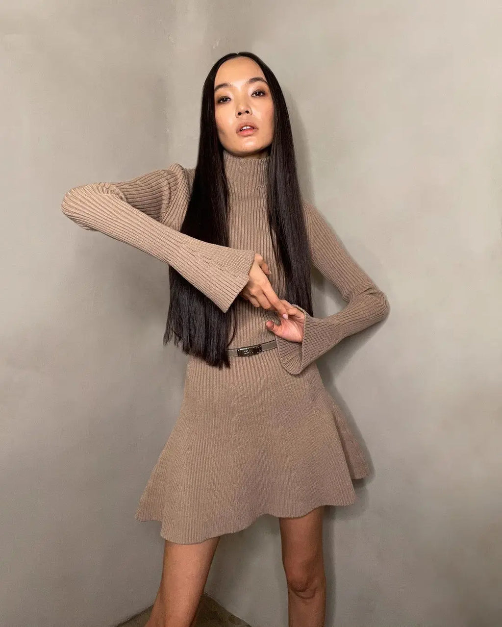 Elegant Women High Neck Knit Dress With Long Sleeve