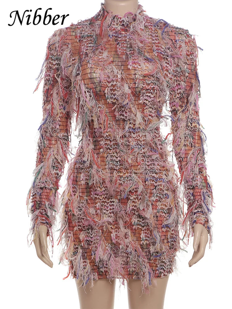 Crochet See Through Bodycon Dress With Colorful Tassels