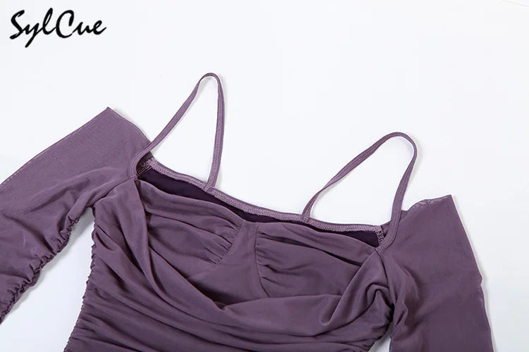 Elegant Long Sleeve Party Dress For Women Solid Color