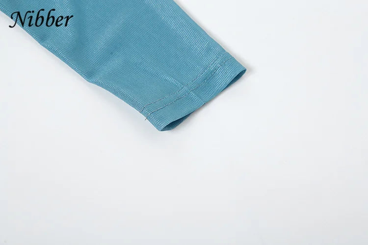 See Through Mesh Maxi Dress Women Long Sleeve Bodycon