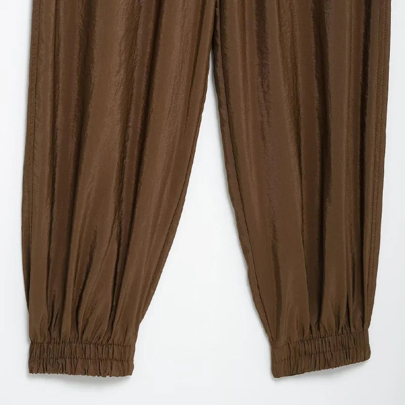 Chic Women's Brown Two Piece Set with Single Breasted Shirt and Vintage Elastic Waist Trousers