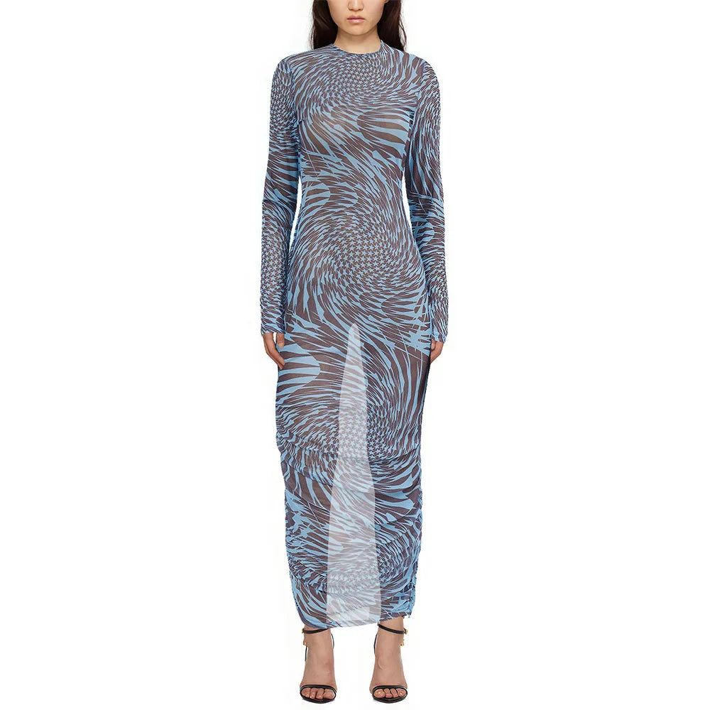 Mesh Print See Through Long Sleeve Bodycon Dress For Women