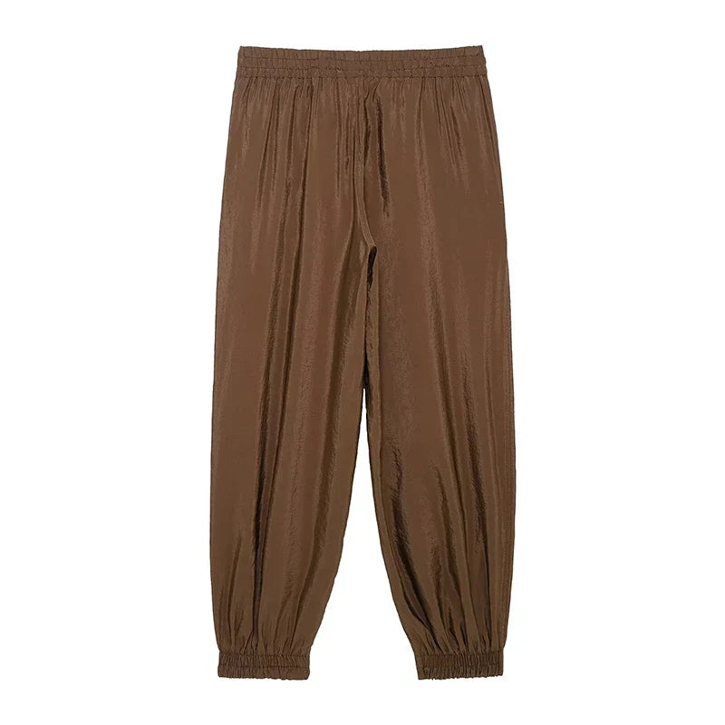 Chic Women's Brown Two Piece Set with Single Breasted Shirt and Vintage Elastic Waist Trousers