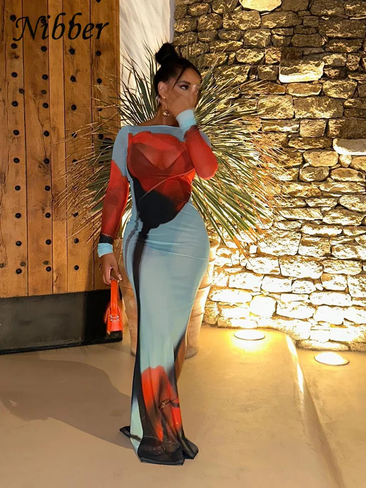 See Through Mesh Maxi Dress Women Long Sleeve Bodycon