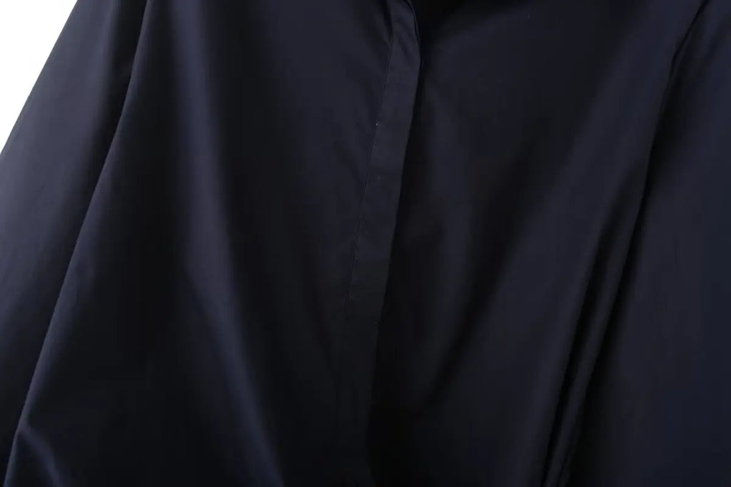 Autumn Women Two-Piece Set Poplin Single Breasted Shirt with High Waist Long Pants Casual Outfit