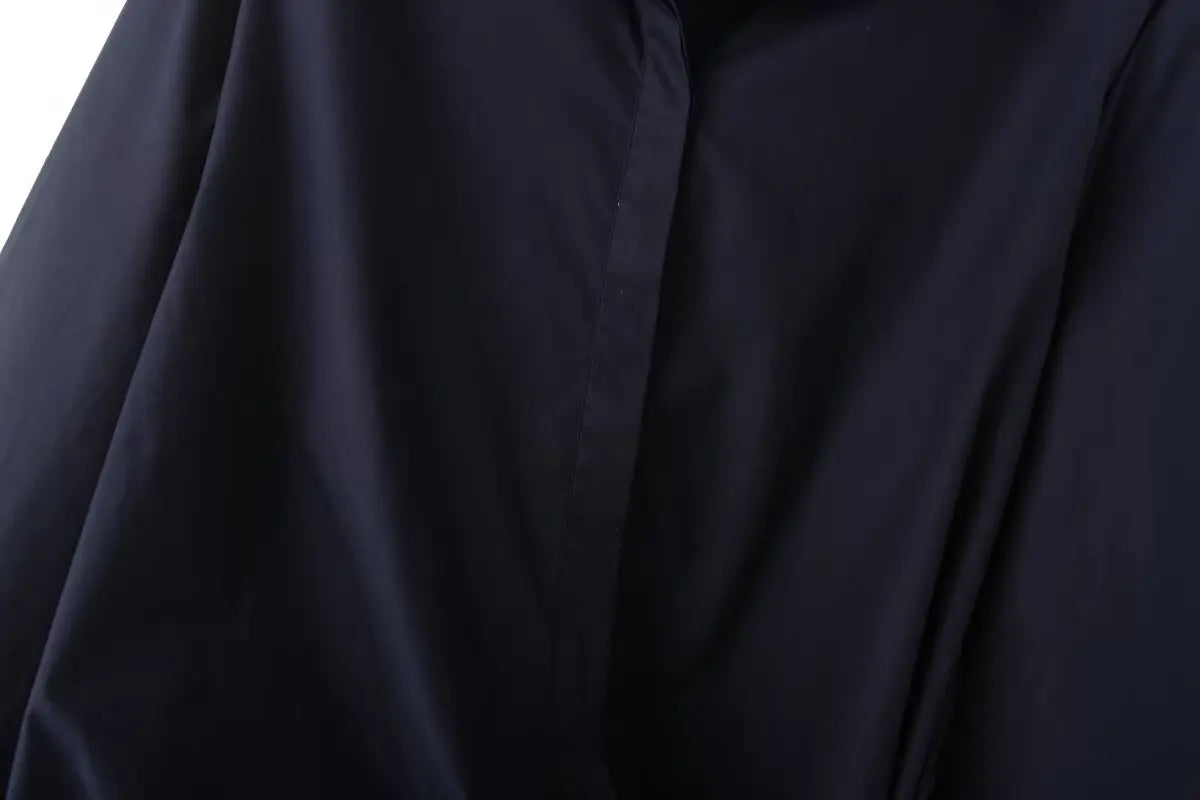 Autumn Women Casual Two Piece Set with Poplin Shirt and High Waist Long Pants